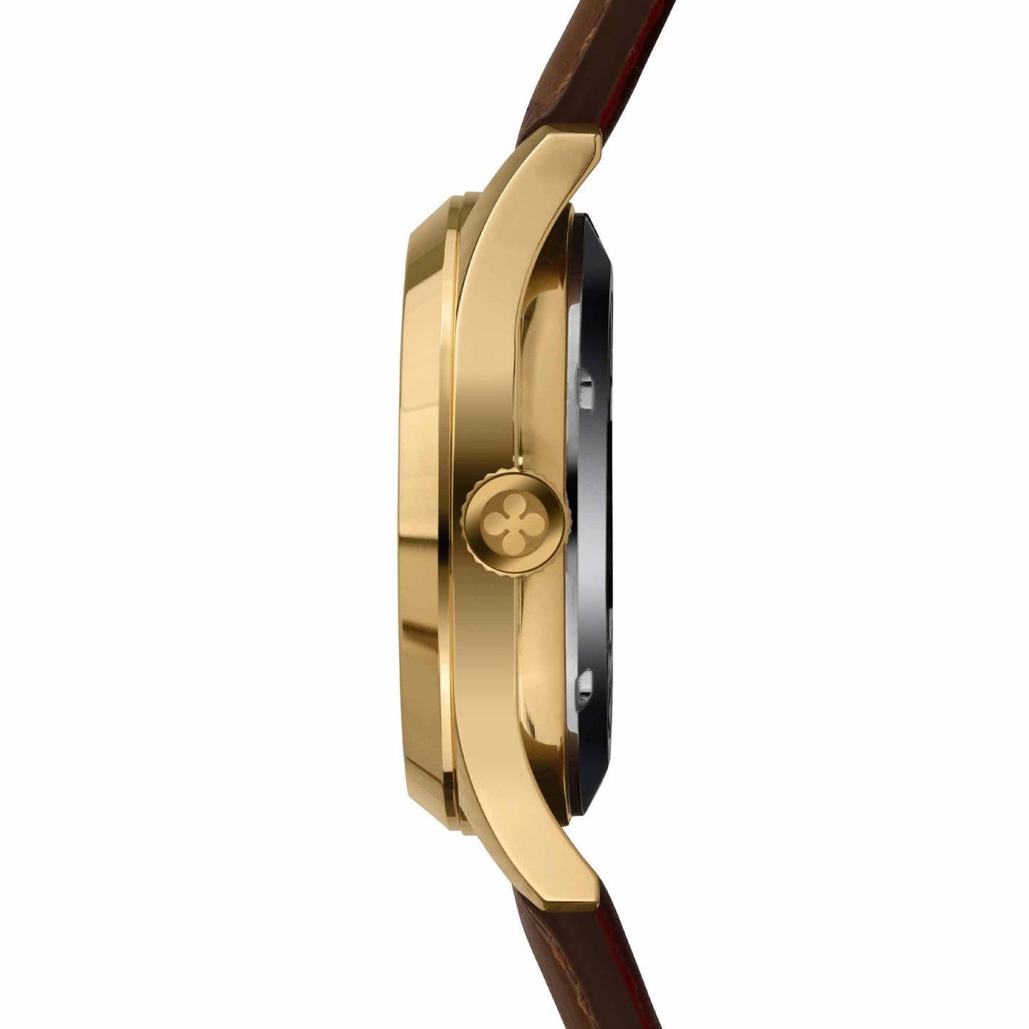 LEONE MARCIANO BIANCO-GOLD