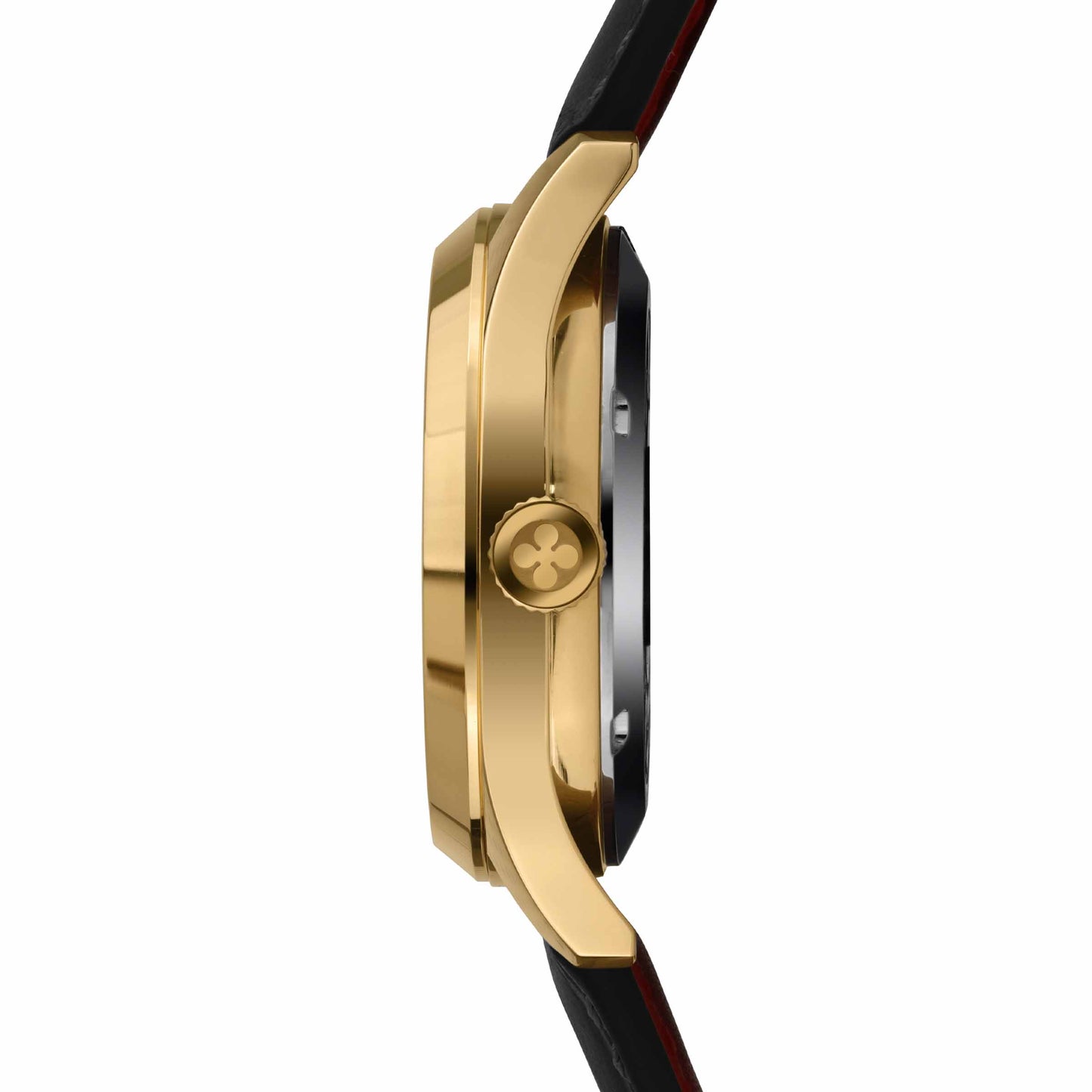 LEONE MARCIANO NERO-GOLD